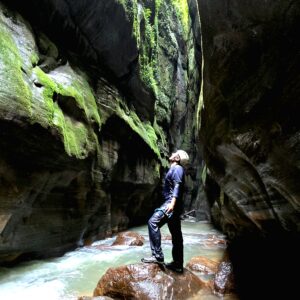 BOSQUES DE CAMAXAGUA