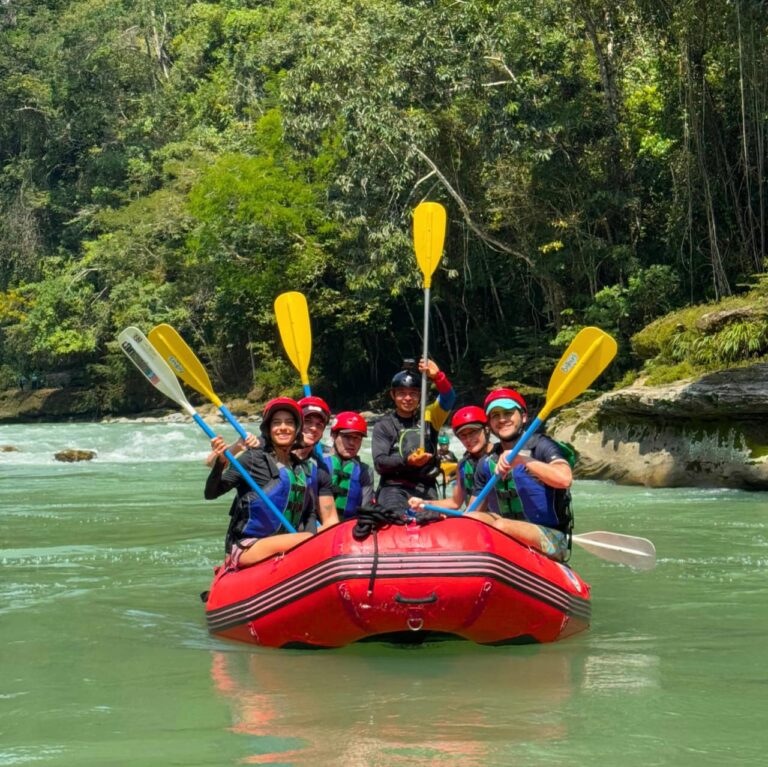 WhatsApp Image 2025-10-15 at 3.03.39 PM